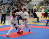 german-open-2015-karate-coburg-10
