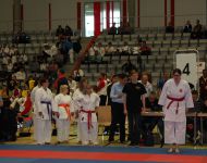 deutsche-meisterschaft-para-karate-2018-7
