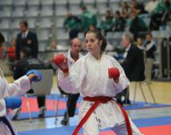 german-open-2015-karate-coburg-5