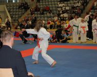 deutsche-meisterschaft-para-karate-2018-9