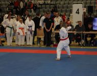 deutsche-meisterschaft-para-karate-2018-15