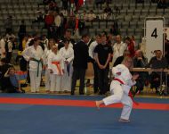 deutsche-meisterschaft-para-karate-2018-14